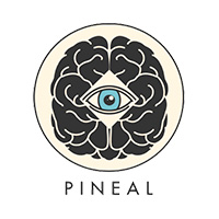 Centro Pineal